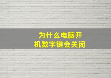 为什么电脑开机数字键会关闭