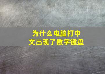 为什么电脑打中文出现了数字键盘