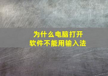 为什么电脑打开软件不能用输入法