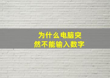 为什么电脑突然不能输入数字