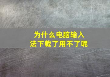 为什么电脑输入法下载了用不了呢