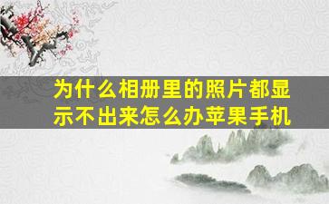 为什么相册里的照片都显示不出来怎么办苹果手机