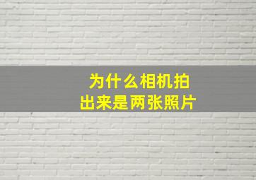 为什么相机拍出来是两张照片