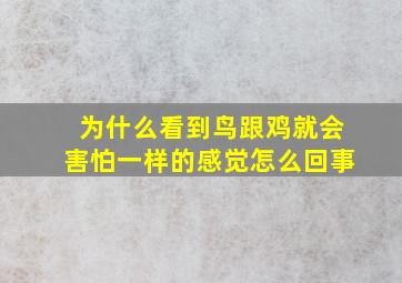 为什么看到鸟跟鸡就会害怕一样的感觉怎么回事