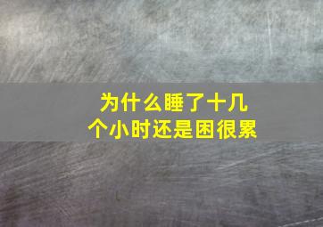 为什么睡了十几个小时还是困很累