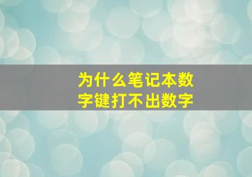 为什么笔记本数字键打不出数字