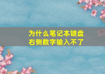 为什么笔记本键盘右侧数字输入不了