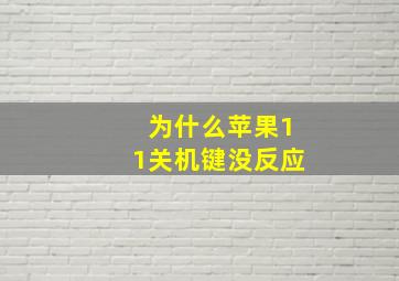 为什么苹果11关机键没反应