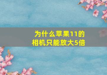 为什么苹果11的相机只能放大5倍