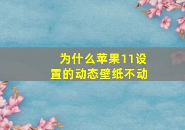 为什么苹果11设置的动态壁纸不动