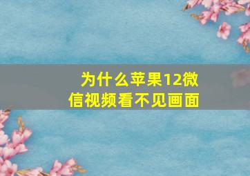 为什么苹果12微信视频看不见画面