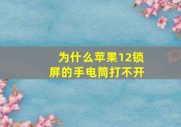 为什么苹果12锁屏的手电筒打不开