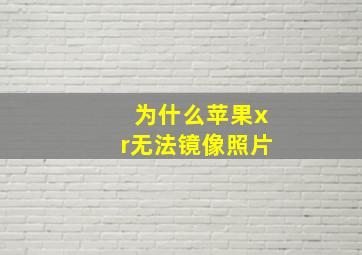 为什么苹果xr无法镜像照片