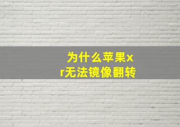 为什么苹果xr无法镜像翻转