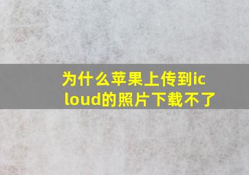 为什么苹果上传到icloud的照片下载不了