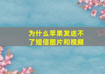 为什么苹果发送不了短信图片和视频