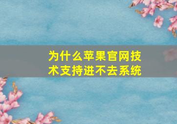 为什么苹果官网技术支持进不去系统