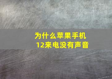 为什么苹果手机12来电没有声音