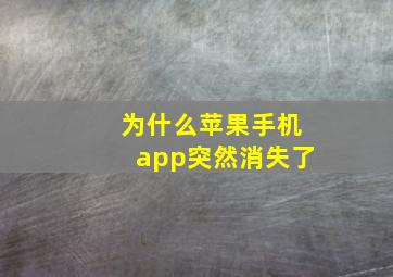 为什么苹果手机app突然消失了