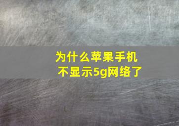 为什么苹果手机不显示5g网络了