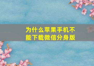 为什么苹果手机不能下载微信分身版