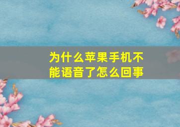 为什么苹果手机不能语音了怎么回事