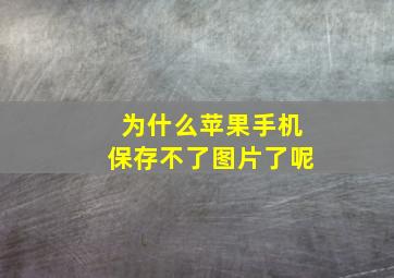 为什么苹果手机保存不了图片了呢