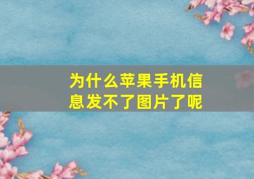 为什么苹果手机信息发不了图片了呢