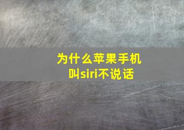 为什么苹果手机叫siri不说话