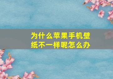 为什么苹果手机壁纸不一样呢怎么办