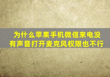 为什么苹果手机微信来电没有声音打开麦克风权限也不行