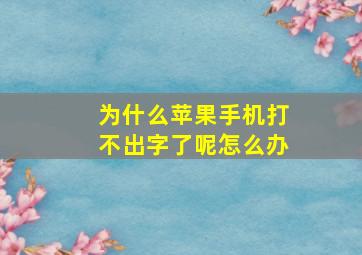 为什么苹果手机打不出字了呢怎么办