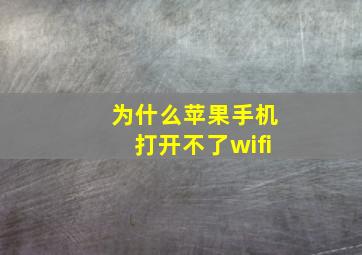 为什么苹果手机打开不了wifi