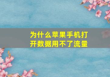 为什么苹果手机打开数据用不了流量