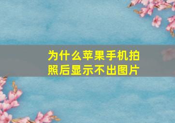 为什么苹果手机拍照后显示不出图片