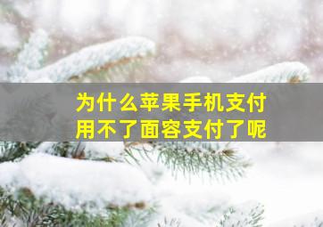 为什么苹果手机支付用不了面容支付了呢