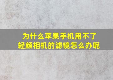 为什么苹果手机用不了轻颜相机的滤镜怎么办呢