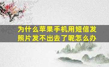 为什么苹果手机用短信发照片发不出去了呢怎么办