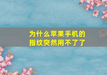 为什么苹果手机的指纹突然用不了了