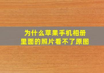 为什么苹果手机相册里面的照片看不了原图