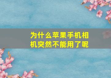 为什么苹果手机相机突然不能用了呢