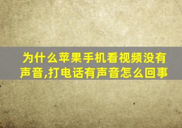 为什么苹果手机看视频没有声音,打电话有声音怎么回事