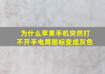 为什么苹果手机突然打不开手电筒图标变成灰色