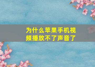 为什么苹果手机视频播放不了声音了