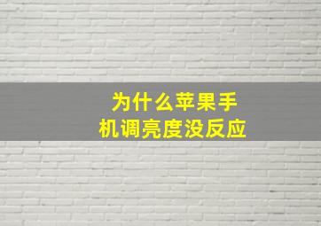 为什么苹果手机调亮度没反应