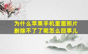 为什么苹果手机里面照片删除不了了呢怎么回事儿