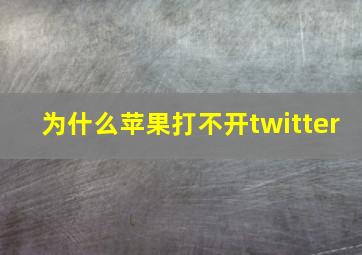 为什么苹果打不开twitter