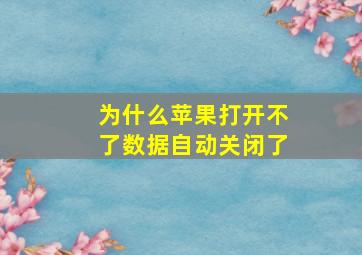 为什么苹果打开不了数据自动关闭了