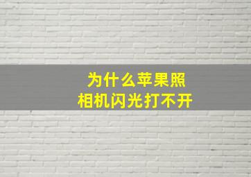 为什么苹果照相机闪光打不开