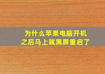 为什么苹果电脑开机之后马上就黑屏重启了